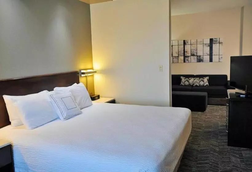 キングサイドベッドのスタンダードワンルーム, Springhill Suites Houston Katy Mills