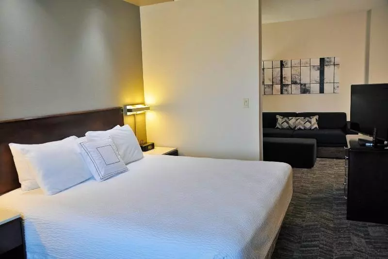 キングサイドベッドのスタンダードワンルーム, Springhill Suites Houston Katy Mills