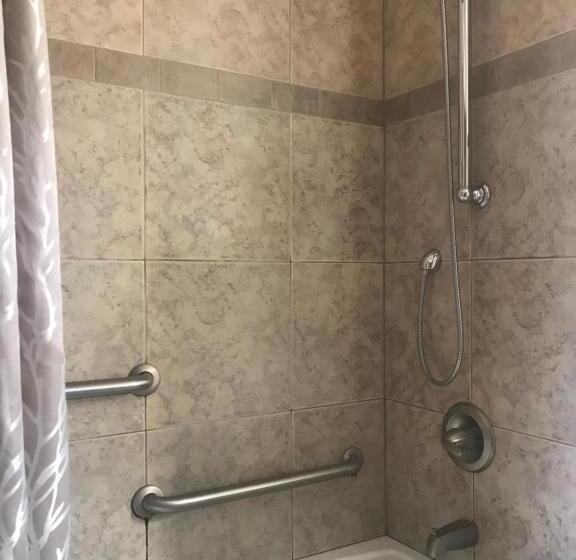 身障者適用スタンダードルーム, Nordic Lodge