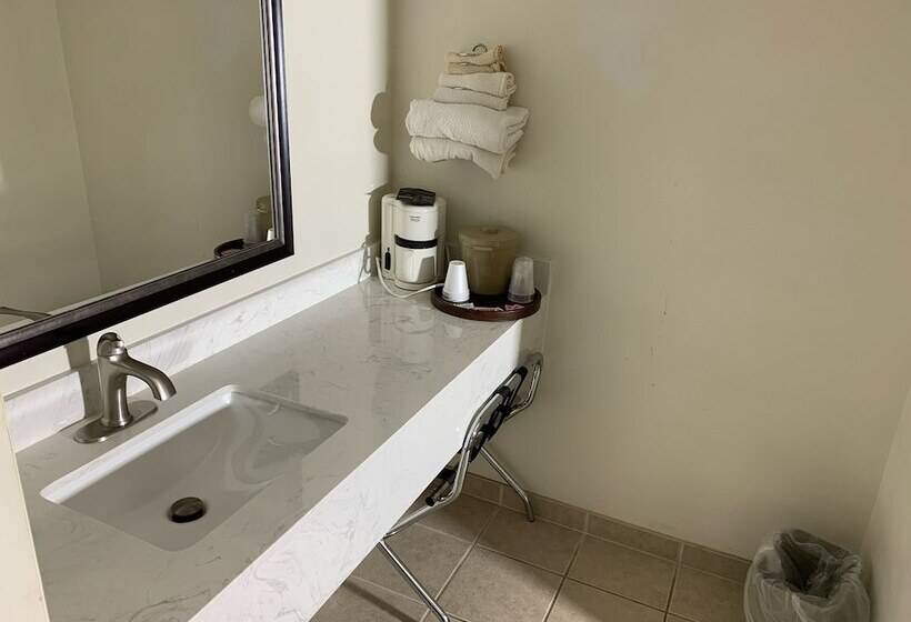 חדר סטנדרט, Chippewa Motel Mount Pleasant