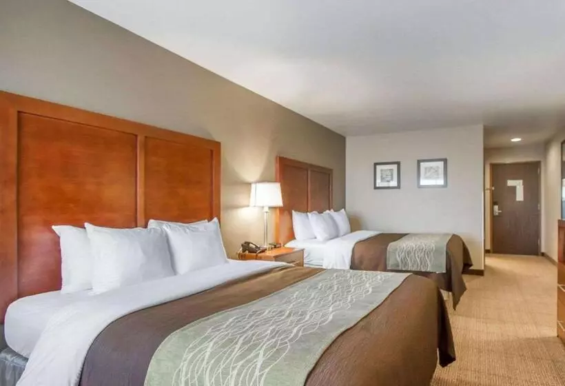 スタンダードルーム, Comfort Inn Bolivar