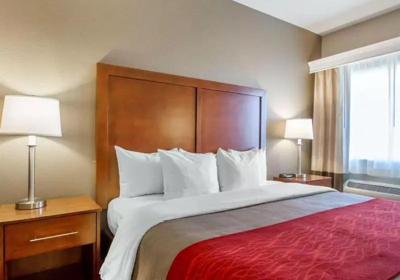 キングサイズベッドのスイートルーム, Comfort Inn Bolivar