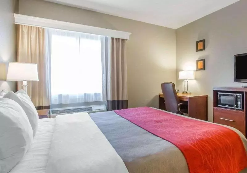 キングサイズベッドのスイートルーム, Comfort Inn Bolivar