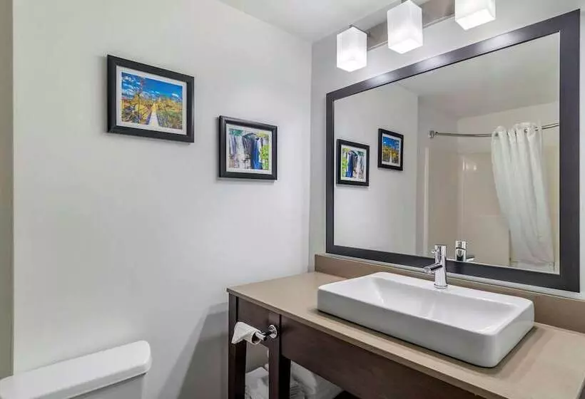 スイート, Comfort Inn & Suites Calhoun South