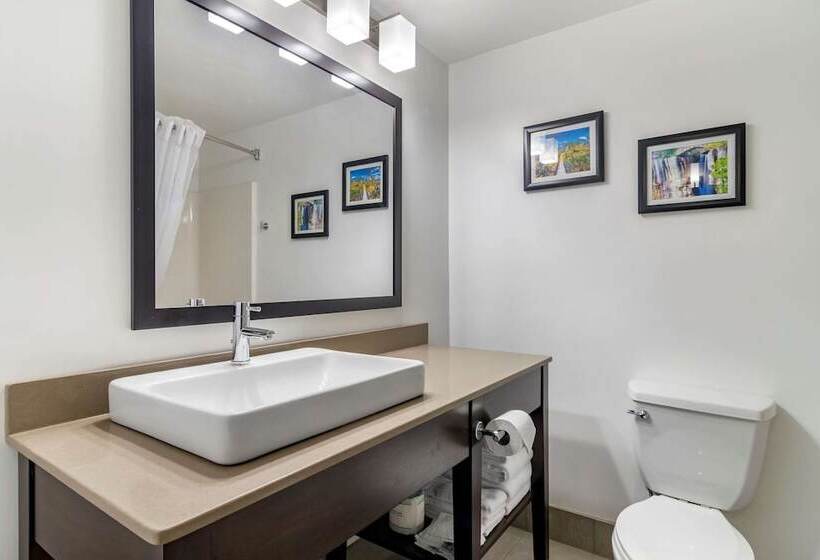 套房, Comfort Inn & Suites Calhoun South