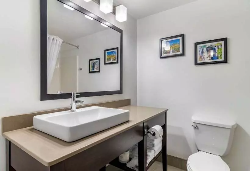 スイート, Comfort Inn & Suites Calhoun South