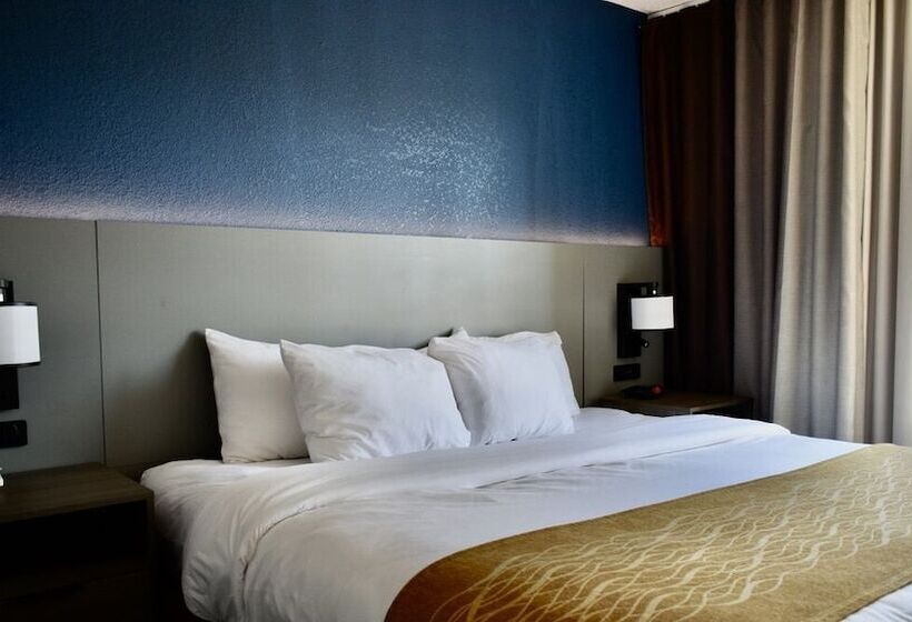 スイート, Comfort Inn & Suites Calhoun South