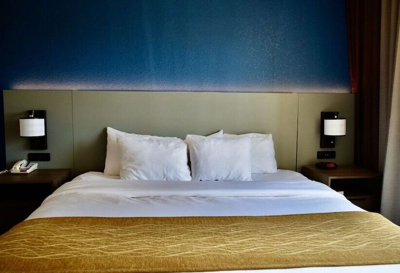 スイート, Comfort Inn & Suites Calhoun South
