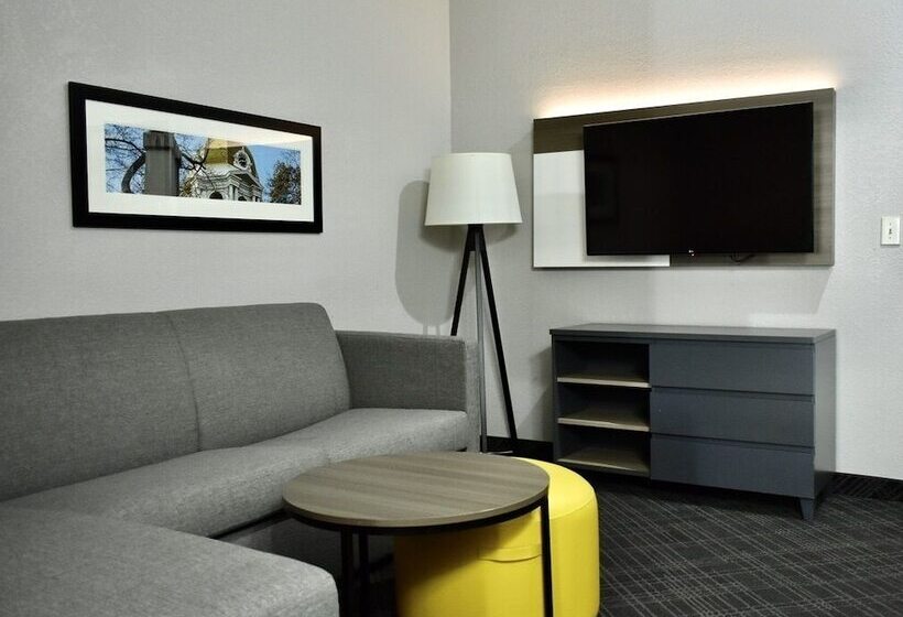 スイート, Comfort Inn & Suites Calhoun South