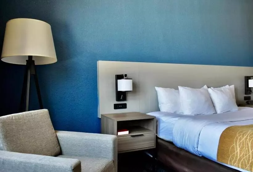 キングサイズベッドのスタンダードルーム, Comfort Inn & Suites Calhoun South