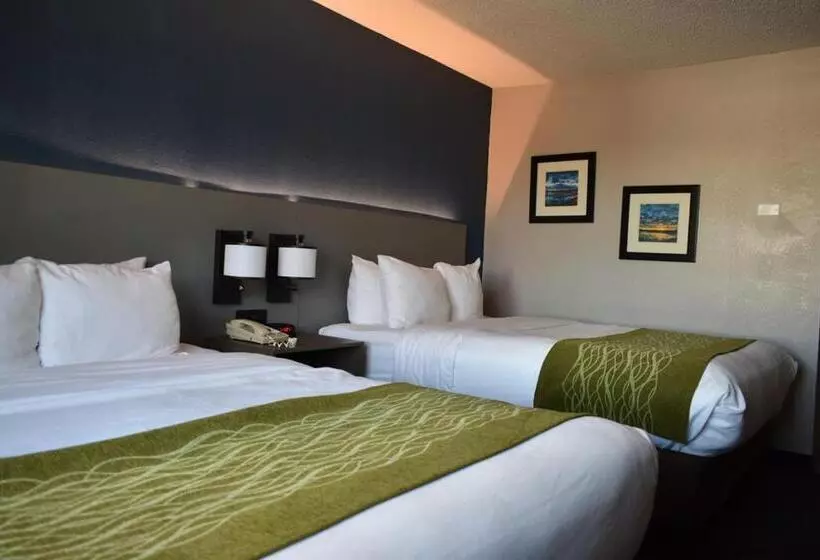 スタンダードルーム, Comfort Inn & Suites Calhoun South
