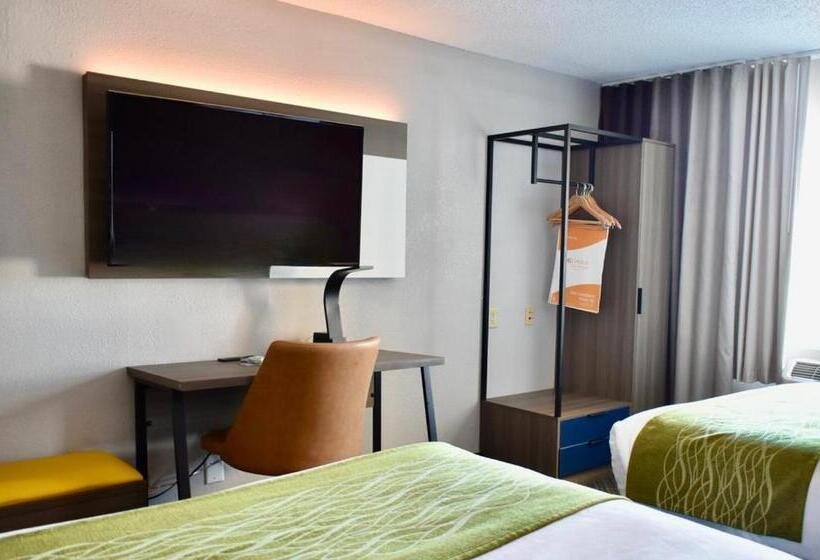 スタンダードルーム, Comfort Inn & Suites Calhoun South