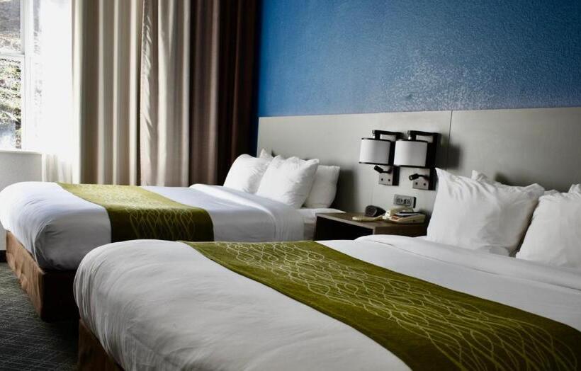 スタンダードルーム, Comfort Inn & Suites Calhoun South