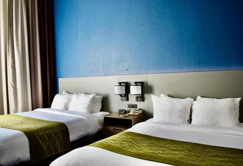 标准间, Comfort Inn & Suites Calhoun South