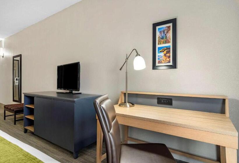 スタンダードルーム, Comfort Inn & Suites Calhoun South