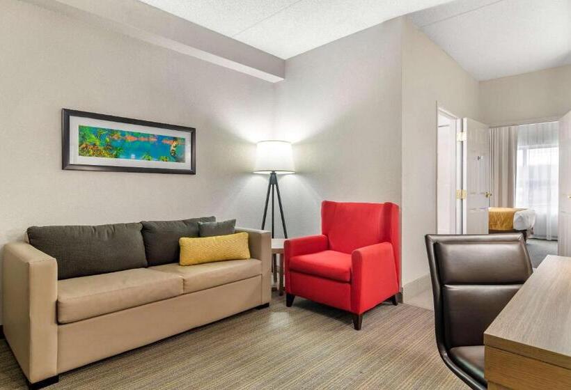 带大床的套房, Comfort Inn & Suites Calhoun South
