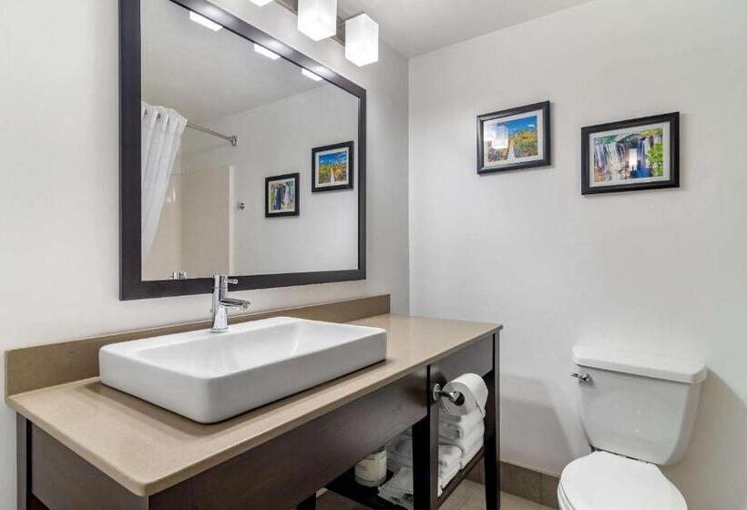 キングサイズベッドのスイートルーム, Comfort Inn & Suites Calhoun South