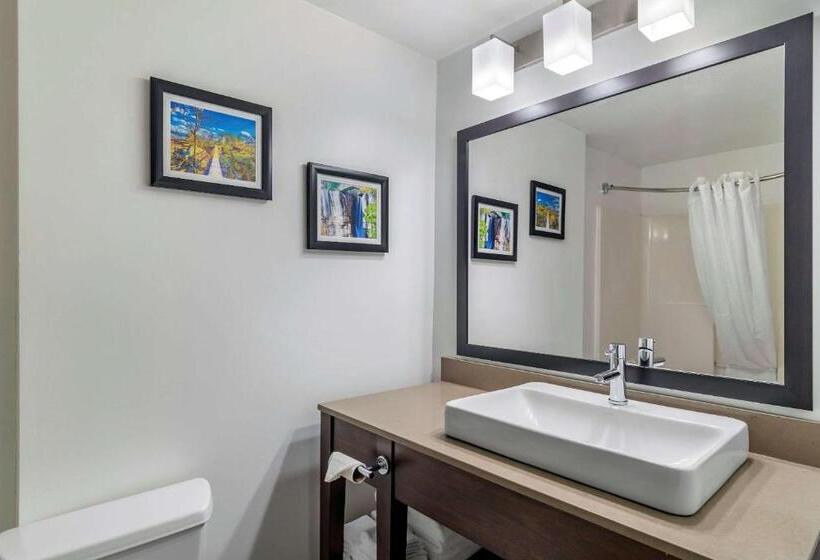 キングサイズベッドのスイートルーム, Comfort Inn & Suites Calhoun South