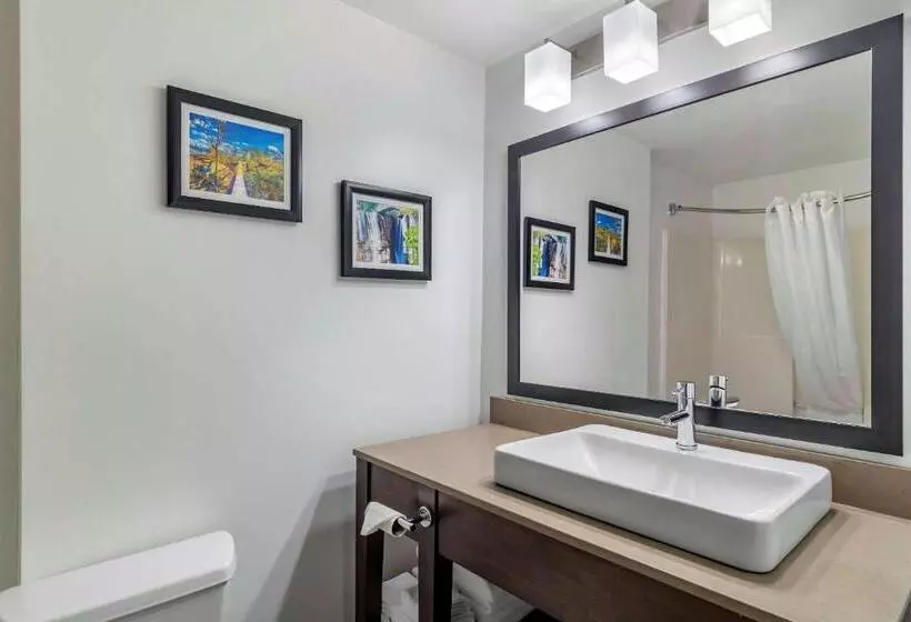 キングサイズベッドのスイートルーム, Comfort Inn & Suites Calhoun South