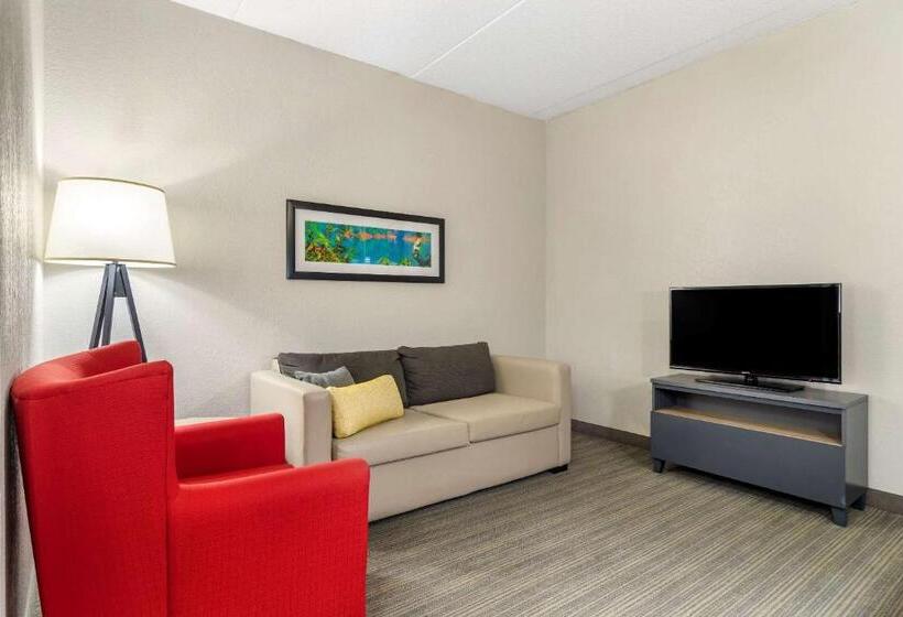 带大床的套房, Comfort Inn & Suites Calhoun South