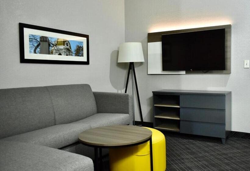 带大床的套房, Comfort Inn & Suites Calhoun South