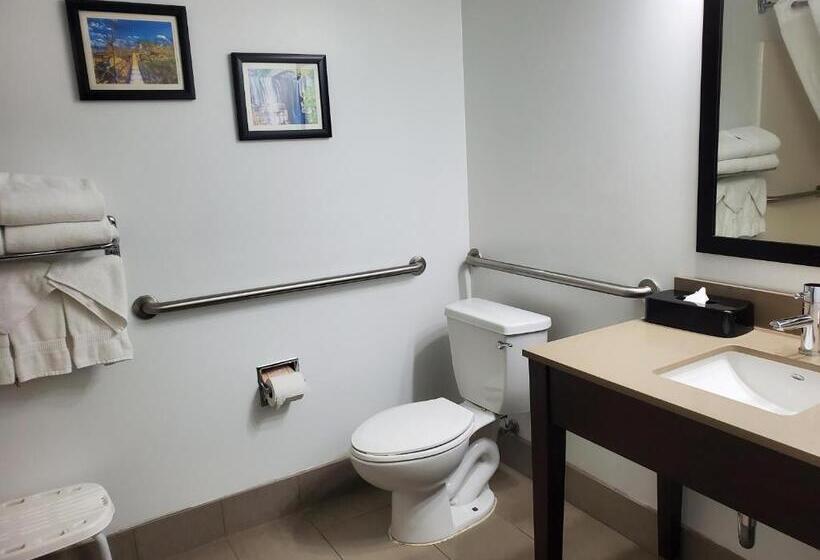 身障者適用キングサイズベッドルーム, Comfort Inn & Suites Calhoun South