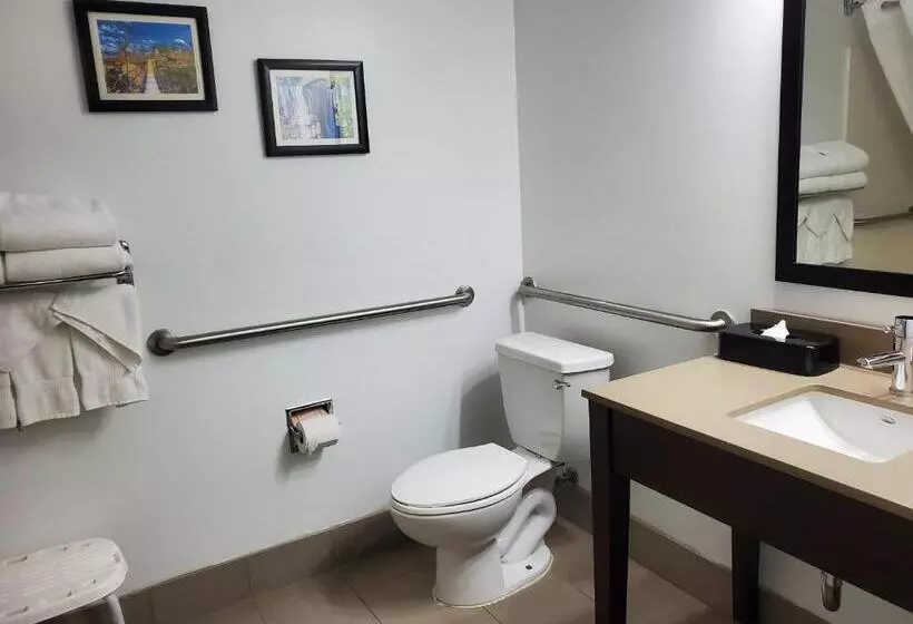 身障者適用キングサイズベッドルーム, Comfort Inn & Suites Calhoun South