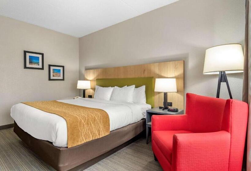 适合残疾人士使用的带超级大床的标准间, Comfort Inn & Suites Calhoun South