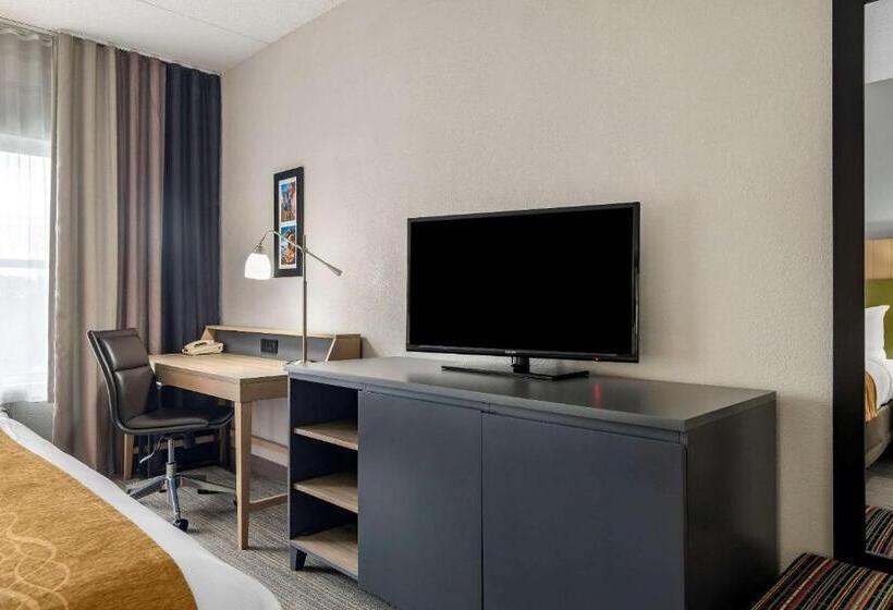 身障者適用キングサイズベッドルーム, Comfort Inn & Suites Calhoun South