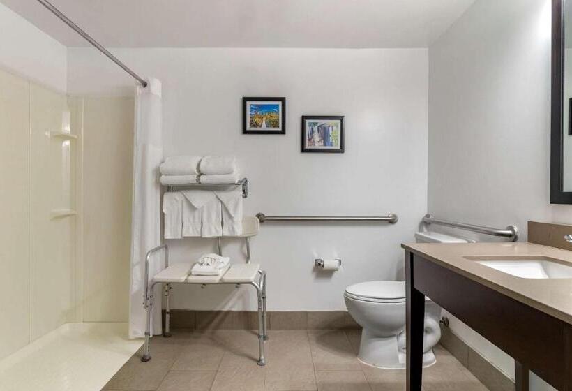 身障者適用キングサイズベッドルーム, Comfort Inn & Suites Calhoun South