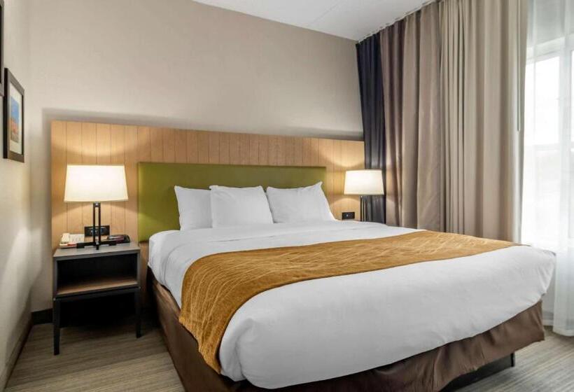 身障者適用スイートルーム, Comfort Inn & Suites Calhoun South