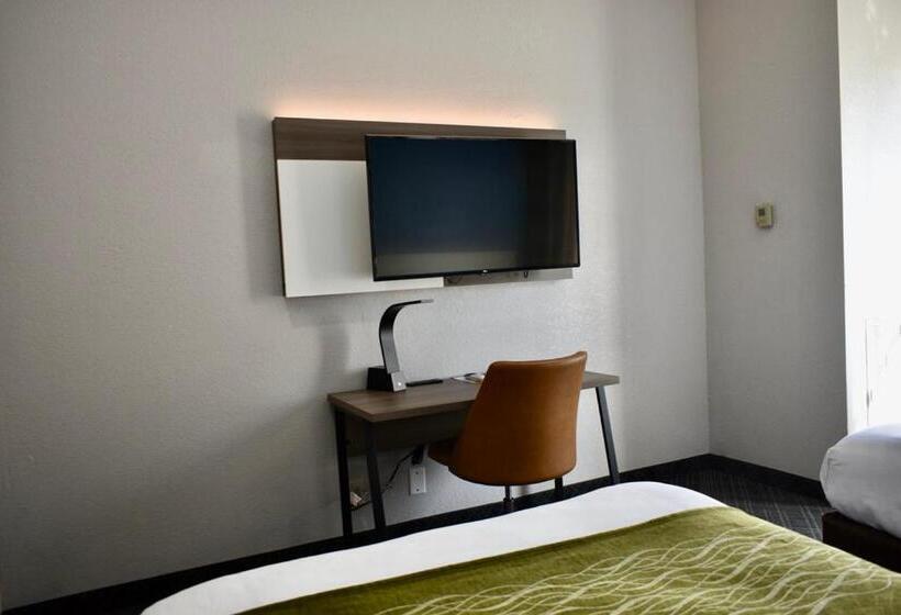スイート, Comfort Inn & Suites Calhoun South