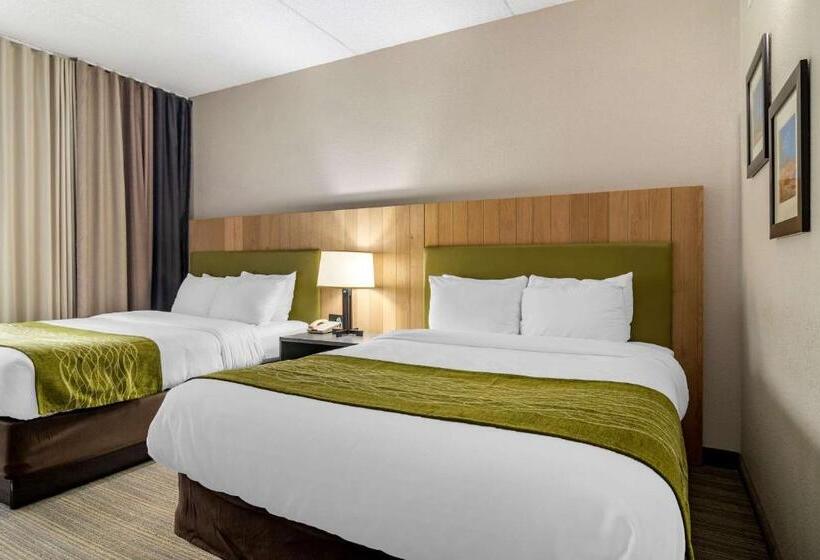 套房, Comfort Inn & Suites Calhoun South