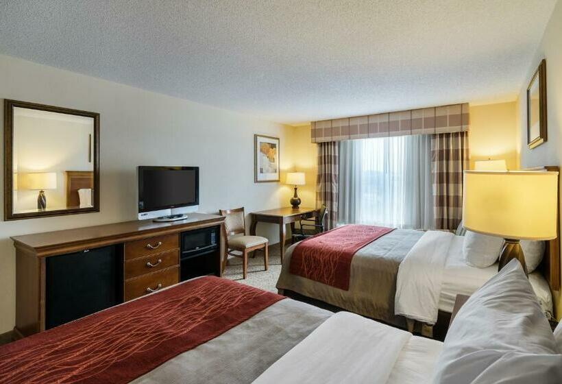 اتاق استاندارد, Comfort Inn & Suites