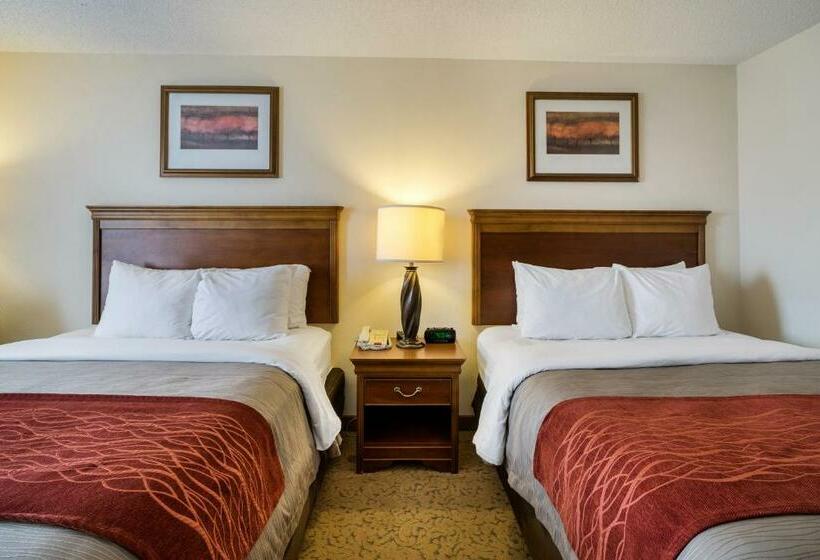 Номер Стандарт, Comfort Inn & Suites