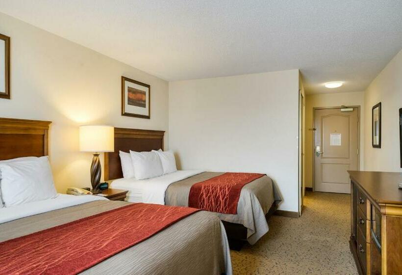 Номер Стандарт, Comfort Inn & Suites