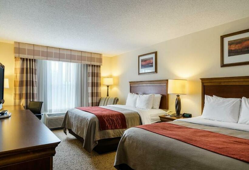 Номер Стандарт, Comfort Inn & Suites