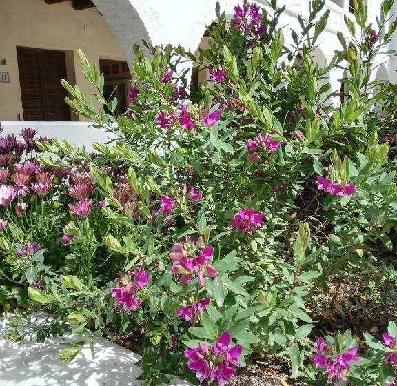 חדר סטנדרט עם טרסה, Convento Aracena & Spa