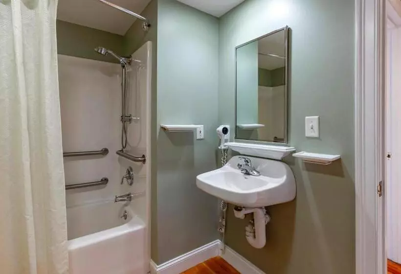 身障者適用キングサイズベッドルーム, Essex Street Inn & Suites, Ascend Hotel Collection