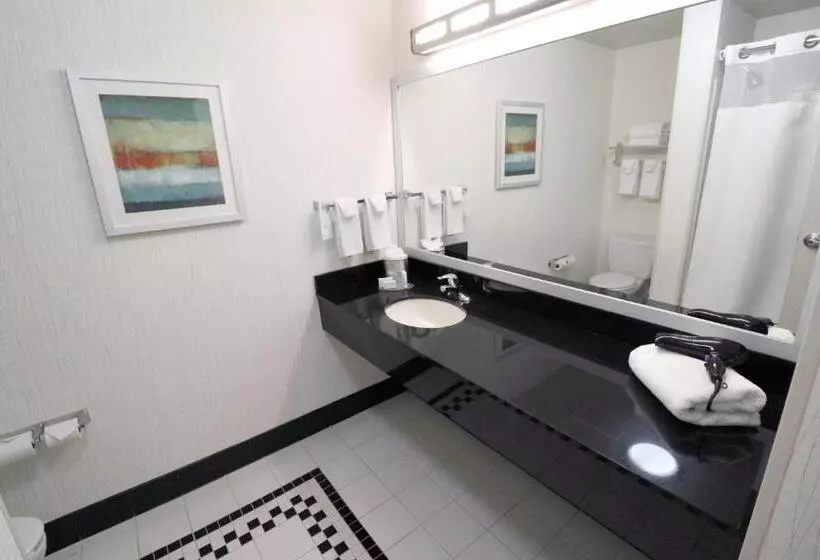 اتاق استاندارد با تخت بزرگ, Fairfield Inn & Suites Des Moines Airport