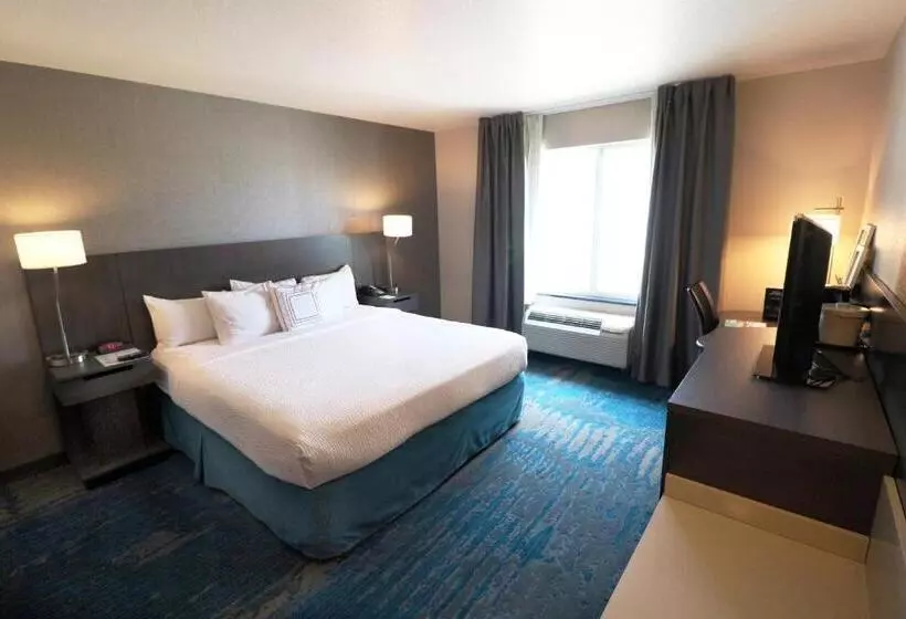 اتاق استاندارد با تخت بزرگ, Fairfield Inn & Suites Des Moines Airport