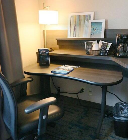 غرفة قياسية سرير كينج, Fairfield Inn & Suites Des Moines Airport