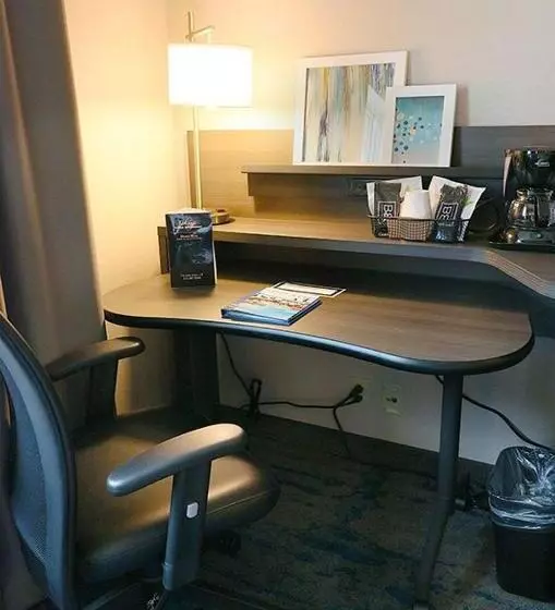 اتاق استاندارد با تخت بزرگ, Fairfield Inn & Suites Des Moines Airport