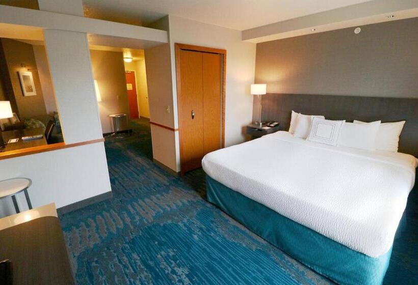带大床的标准工作室, Fairfield Inn & Suites Des Moines Airport
