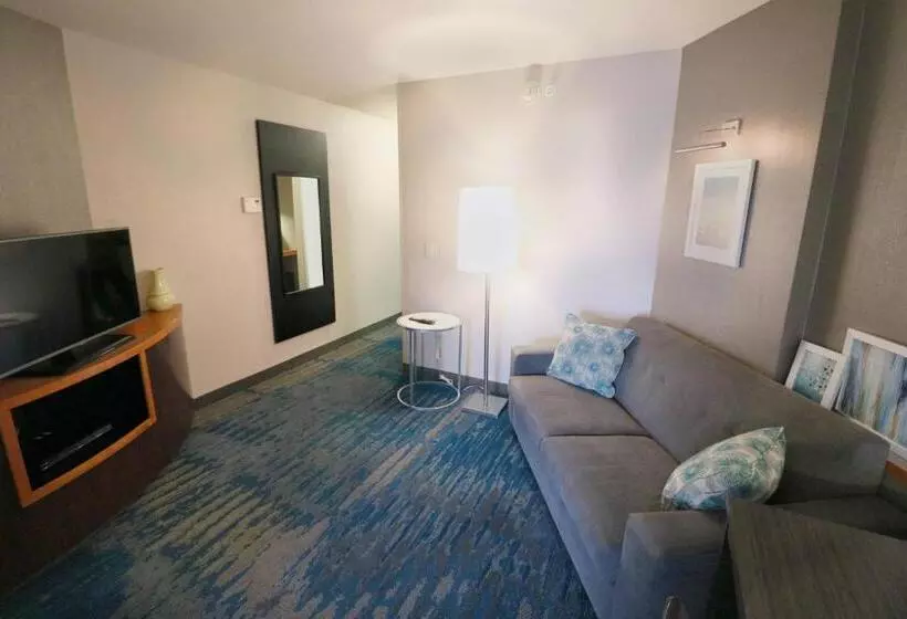 استودیو استاندارد با تخت کینگ, Fairfield Inn & Suites Des Moines Airport