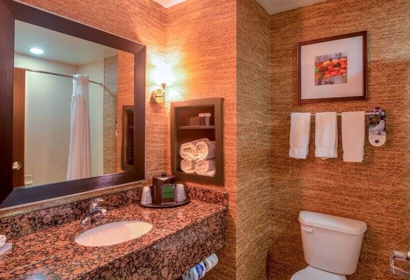 Люкс, Holiday Inn Express Hotel And Suites Elk City, An Ihg