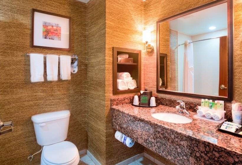 סוויטה מותאמת לאדם עם מוגבלויות, Holiday Inn Express Hotel And Suites Elk City, An Ihg