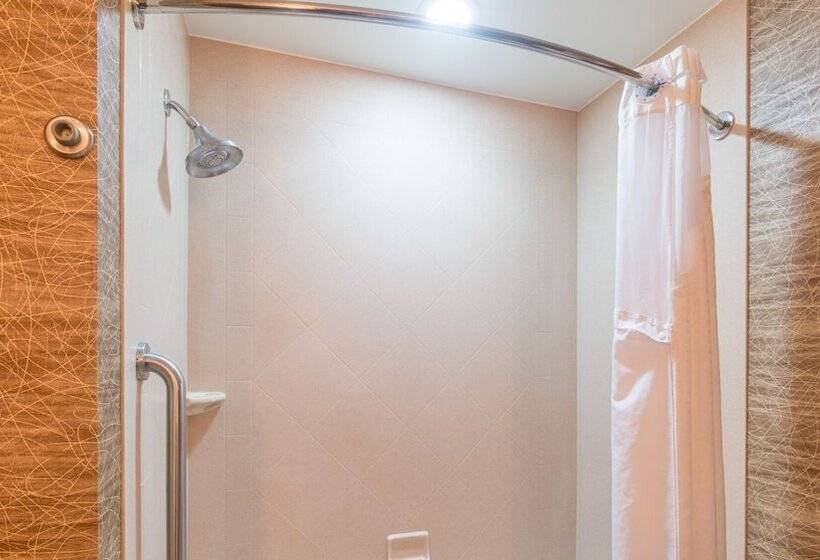 Люкс Адаптированный для Инвалидов, Holiday Inn Express Hotel And Suites Elk City, An Ihg