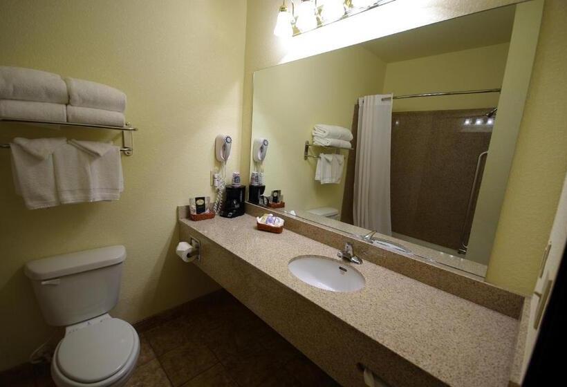 מיטת קינג בסוויטה, Mountain Inn & Suites Airport   Hendersonville