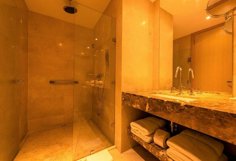 标准工作室, Radisson Cartagena Ocean Pavillion